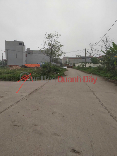 OWNER NEEDS TO QUICKLY SELL SERVICE LAND LOT WITH 2 STREET FRONTS Tan Ngoc Ba Hien, Binh Xuyen, Vinh Phuc, Vietnam | Sales đ 3.39 Billion