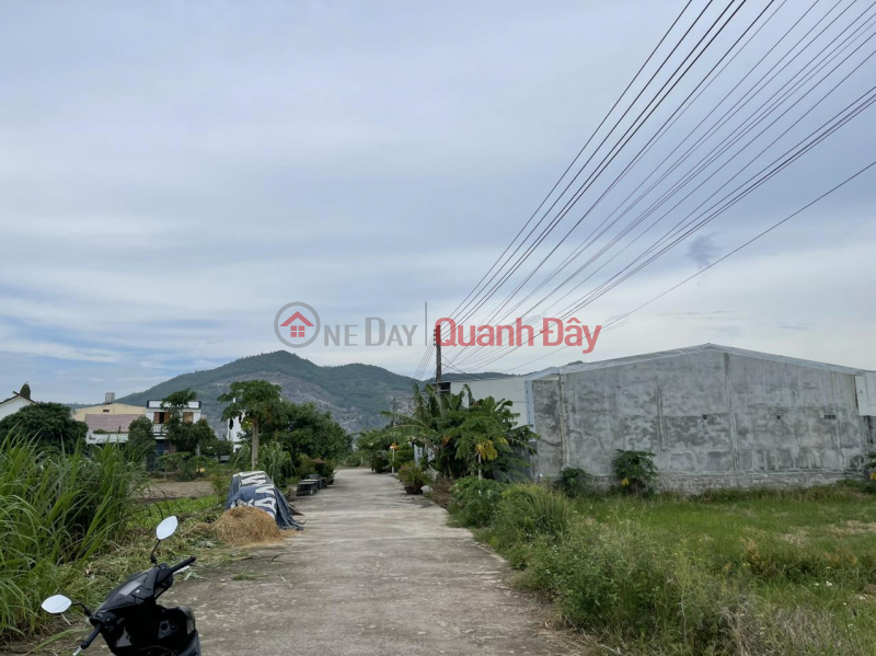 BEAUTIFUL LAND - OWNER NEEDS TO SELL LOT OF LAND IN Diên Sơn Commune, Diên Khánh District, Khánh Hòa Sales Listings