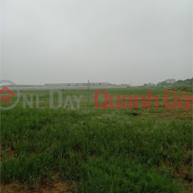 1.6ha industrial land for sale for 50 years in Song Mai Commune, Bac Giang City _0