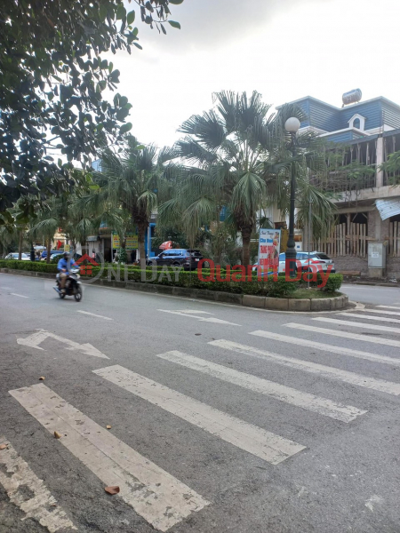 For Sale by Owner, 400m long Address: Luong Son Town - Hoa Binh. Price only 3 billion 50 Sales Listings