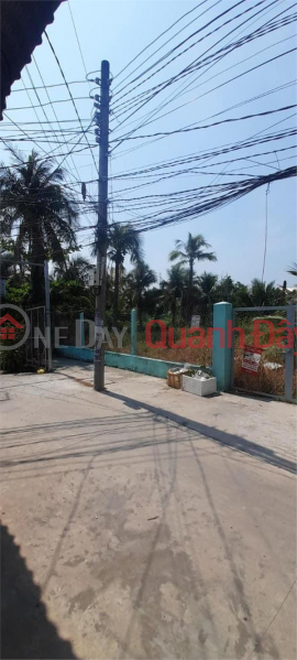 BEAUTIFUL LAND - GOOD PRICE - For Quick Sale Land Lot In Binh Tao Hamlet - Trung An - My Tho - Tien Giang, Vietnam | Sales, ₫ 3.5 Billion