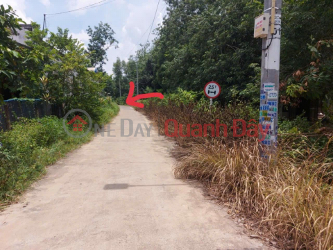 BEAUTIFUL LAND - GOOD PRICE - OWNER NEEDS TO SELL Land Lot in Lai Uyen Town, Bau Bang, Binh Duong _0