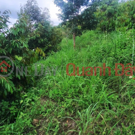 BEAUTIFUL LAND - GOOD PRICE - FOR SALE LOT OF LAND Prime Location In Ehleo District - Dak Lak _0
