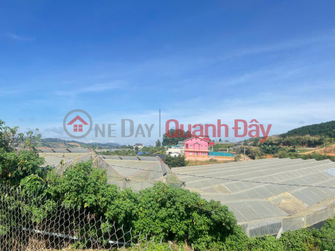 ĐẤT ĐẸP – GIÁ ĐẦU TƯ - CẦN BÁN LÔ ĐẤT 2 MẶT TIỀN ĐẸP TẠI Thị trấn Lạc Dương, Lạc Dương , Lâm Đồng _0