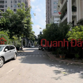 Owner sells corner garden house Meco complex 102 Truong Chinh 79m2 _0