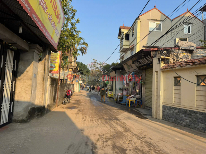 Land for Sale on Quang Minh Main Road - Me Linh - 54m2 - Accessible by Car - Good for Business | Vietnam Sales đ 3.25 Billion