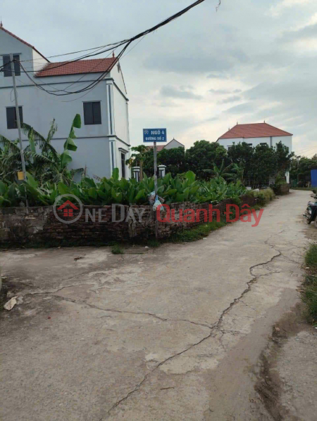 Owner Needs To Quickly Sell A Plot Of Land In Trang Cat, Kim An, Thanh Oai, Hanoi, Vietnam, Sales đ 3.21 Billion