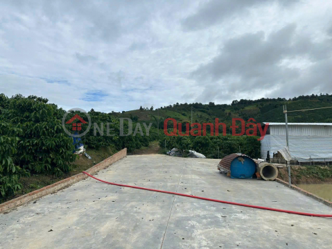 Bán 21000m2 ( 21 sào ) đất nhà , ao, vườn cà phê -Xã Liên Hiệp - Đức Trọng Lâm Đồng _0