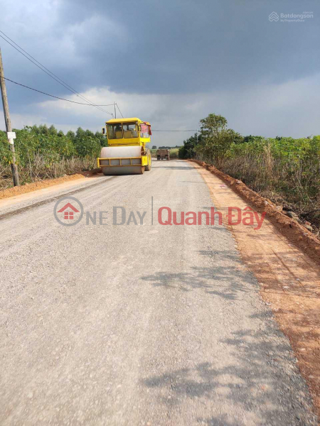 Property Search Vietnam | OneDay | Residential | Sales Listings, The owner needs to sell land of 1580.3m2 with 2 frontages, a few minutes drive from National Highway 1A, price 2.8 billion