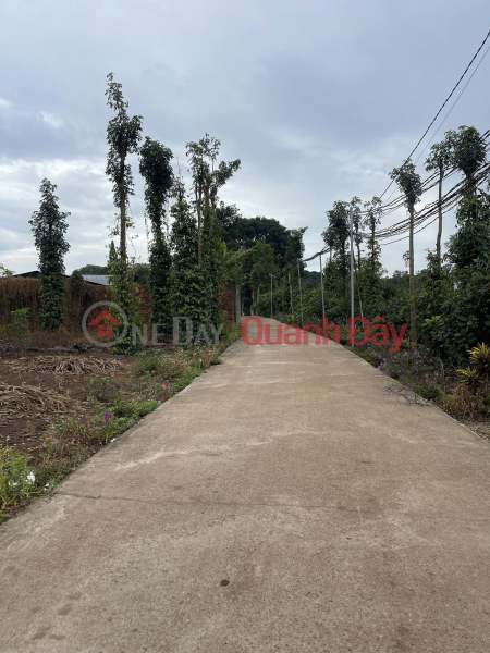 LAND FOR SALE AT EAST GATE OF AIRPORT CORNER 2 MT. BAU CAN COMMUNE. LONG THANH . DONG NAI 0938974428, Vietnam, Sales | đ 15.33 Billion