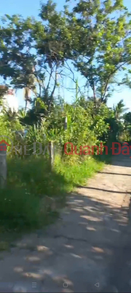 Property Search Vietnam | OneDay | Residential Sales Listings, HOT HOT – CHEAP LAND – OWNER NEEDS TO SELL A PLOT OF LAND in Dinh Tan Hamlet, Vinh Thanh Town, Vinh Thanh District, Binh Dinh Province