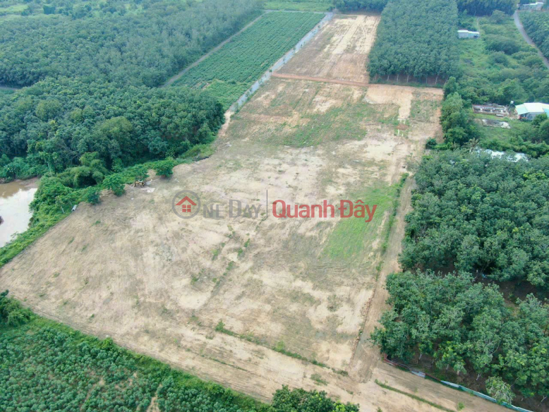 Property Search Vietnam | OneDay | Residential, Sales Listings SUPER CHEAP MODEL LAND FOR SALE ON ASSUMATIC ROAD FRONT OF XANH AN VIEN. TRANG BOM. DONG NAI . 0938974428