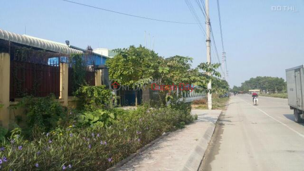 Land for sale in industrial zone in Phu Xuyen, Hanoi has 15,000m2 of workshop. Sales Listings