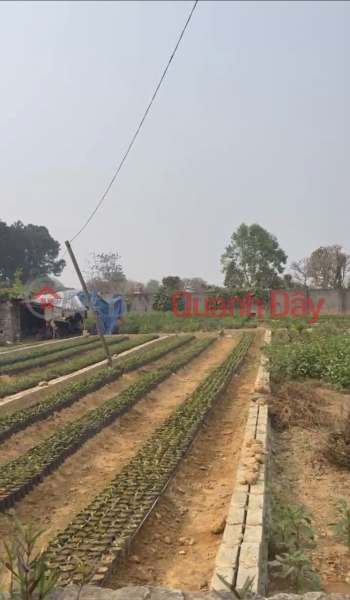  Làm ơn chọn, Nhà ở Niêm yết bán, đ 10 triệu