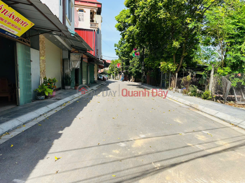 Property Search Vietnam | OneDay | Residential Sales Listings, OWNER FOR SALE BEAUTIFUL LAND 100M2 THU LO - LIEN HA - DONG ANH - Car-accessible road