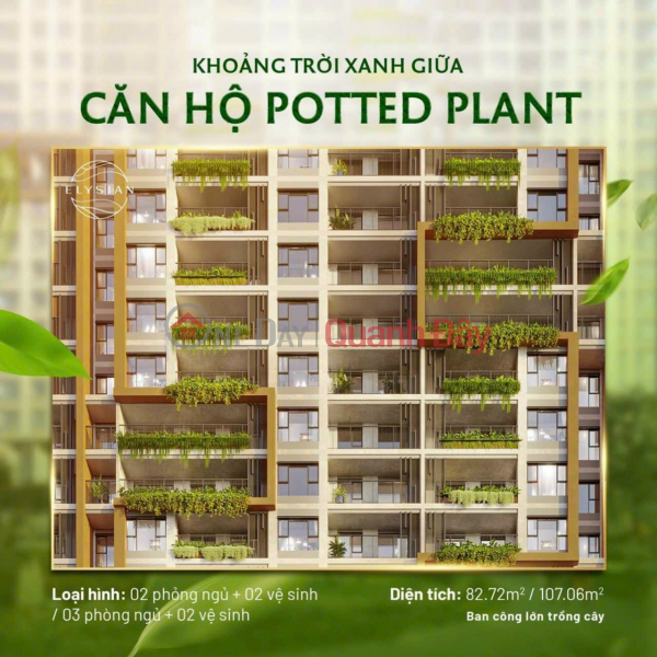 Khoảng trời xanh giữa căn hộ Potted Plant Niêm yết bán