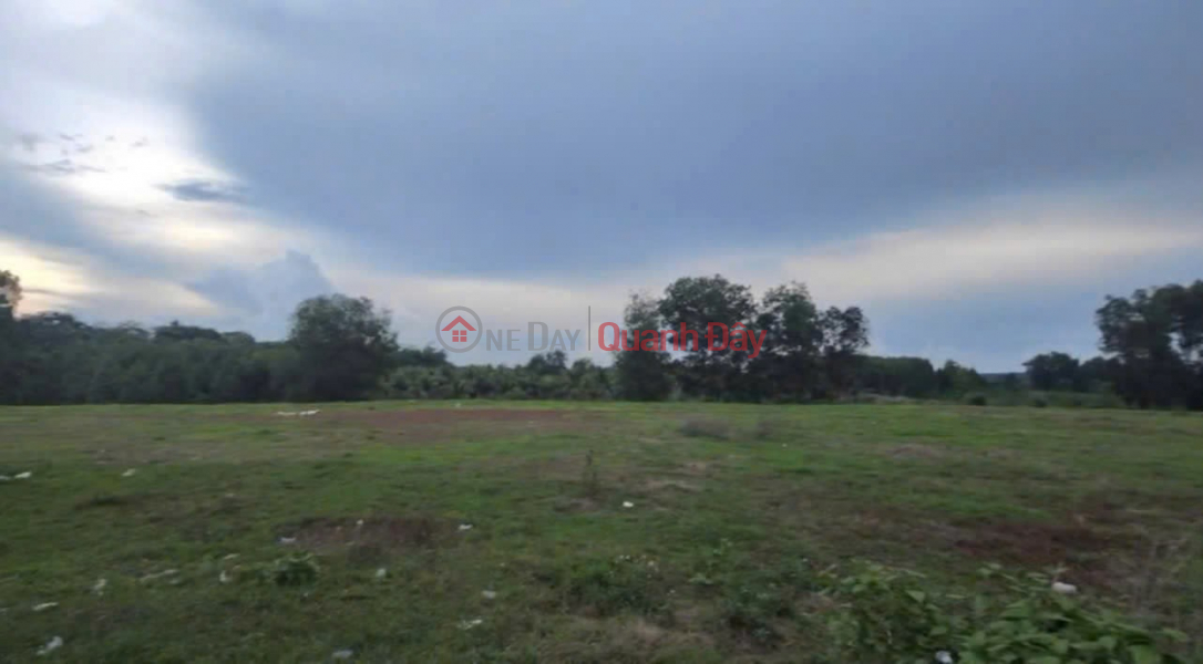 HOT HOT – OWNER NEEDS TO SELL PLOT OF LAND IN BINH TRUNG, CHAU DUC, BA RIA - VUNG TAU (BINH GIA, NEW HCM CITY) Sales Listings
