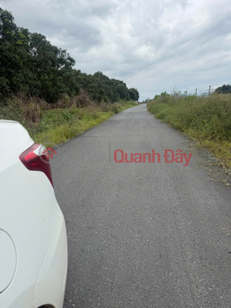 Garden Land In Lap Dinh Cam Hoa Cam Lam Sales Listings (849-4223604979)