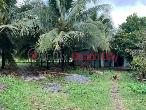 ĐẤT ĐẸP CỰC KỲ TIỀM NĂNG - BÊN KCN DIÊN THỌ, KHÁNH HÒA - Giá cực tốt cho khu công nghiệp _0