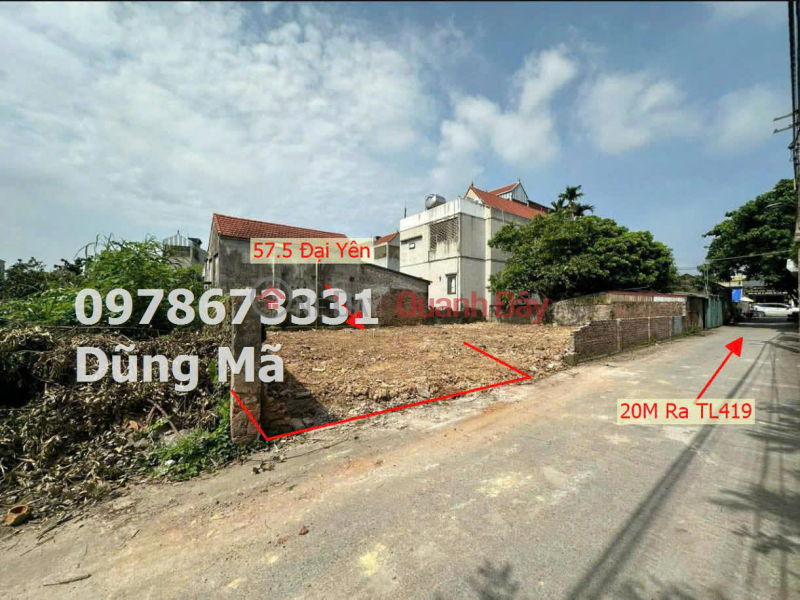 SUPER CHEAP PRODUCT, INVEST NEARBY TL419 DAI YEN-CHUONG MY Sales Listings