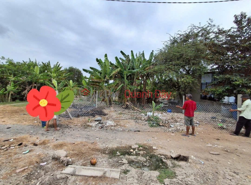 PRIME LOCATION LAND PLOT - GOOD PRICE - QUICK SALE OF POTENTIAL LAND PLOT IN BINH CHANH DISTRICT, HO CHI MINH CITY Vietnam | Sales | đ 1.8 Billion