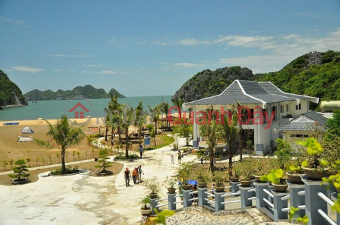 The owner sells 312m² of Tung Dinh street (next to Tung Thu beach) - Cat Ba - Hai Phong. _0
