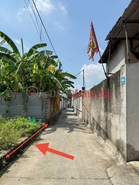 For only 2.5 billion VND - own a beautiful plot of land in Mai Dong village, Soc Son - with ready title deed - immediate investment for profit. _0