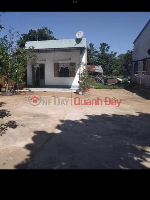 Own a Land Lot Prime Location At Highway 14, Nghia Hung Commune, Chu Pah, Gia Lai _0