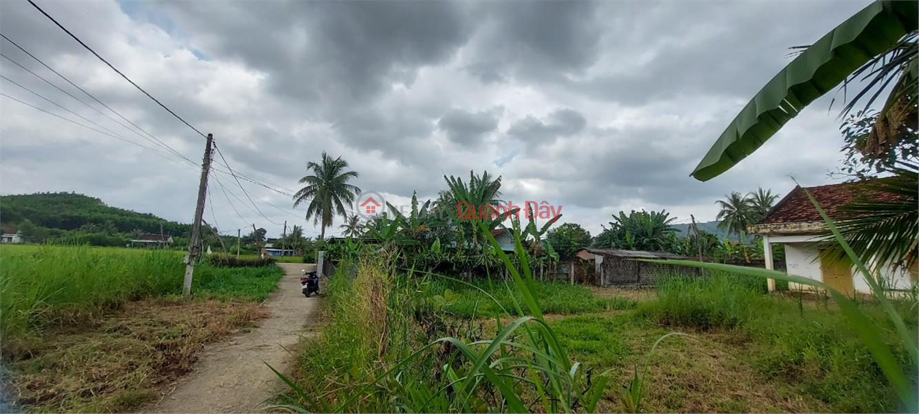 Property Search Vietnam | OneDay | Residential | Sales Listings Beautiful Land - Good Price - Owner Needs to Sell Beautiful Residential Land Lot in Son Giang, Song Hinh, Phu Yen.