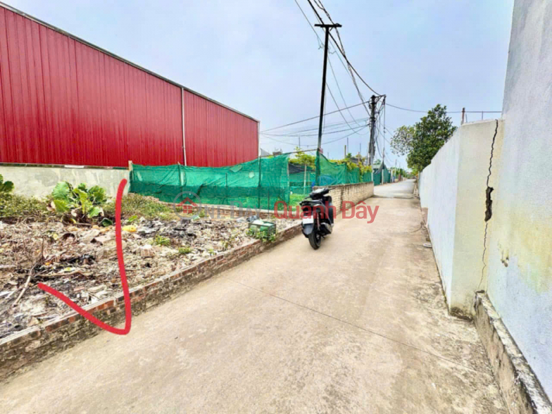 BÁN ĐẤT 41m² – THÔN TIÊN HÙNG, PHÚC THỊNH – GIÁ CHỈ HƠN 3 TỶ Niêm yết bán