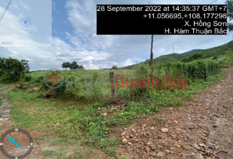 Land for sale in Binh Thuan, 11,591m2 - profitable investment opportunity - development potential _0