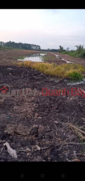 Property Search Vietnam | OneDay | Residential | Sales Listings | OWNER SELLING 16,400m2 OF LAND. Pink book. Beautiful Location In Vi Tan Ward, Vi Thanh City, Hau Giang