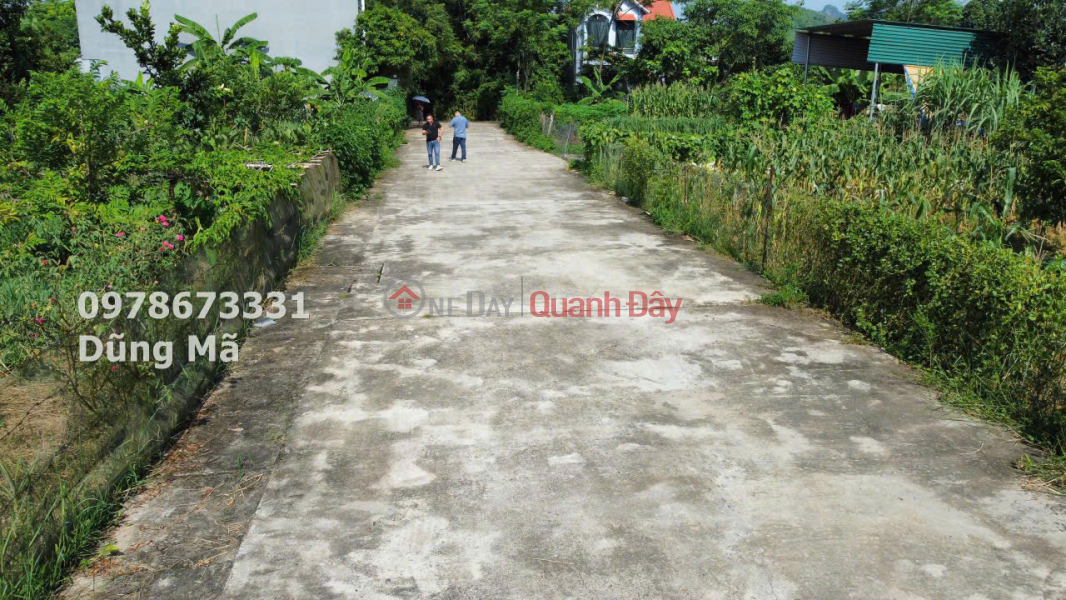 80M2 LAND FOR SALE IN THUY XUAN TIEN-CHUONG MY Sales Listings