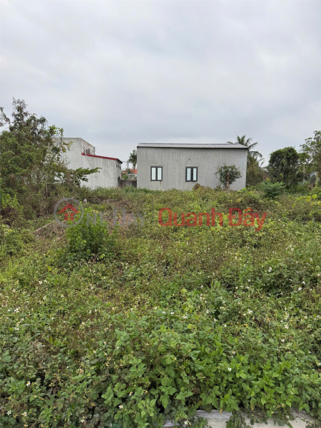 Property Search Vietnam | OneDay | Nhà ở Niêm yết bán Lô đất nở hậu TDP Đồng Phong ,Minh Đức, Đồ Sơn - ZALO 0567 222 555