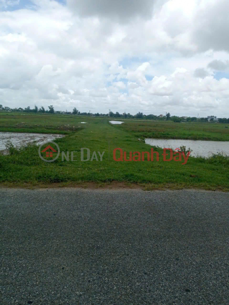 LAND FOR SALE IN BACH DANG VILLAGE - QUANG MINH COMMUNE - KIEN XUONG CAN OPEN FACTORY, COMMERCIAL CENTER, SERVICE Sales Listings