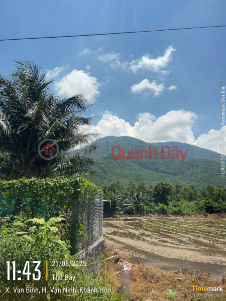  | Làm ơn chọn Nhà ở, Niêm yết bán đ 100 tỷ