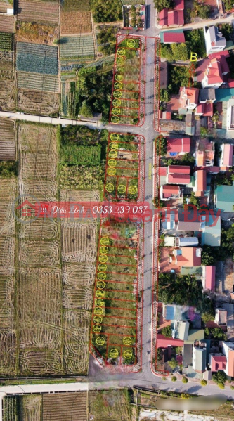 Property Search Vietnam | OneDay | Nhà ở, Niêm yết bán BÁN ĐẤT ĐẤU GIÁ X9 CÁN KHÊ, NGUYÊN KHÊ, ĐÔNG ANH GIÁ CHỈ 42.5TR/M