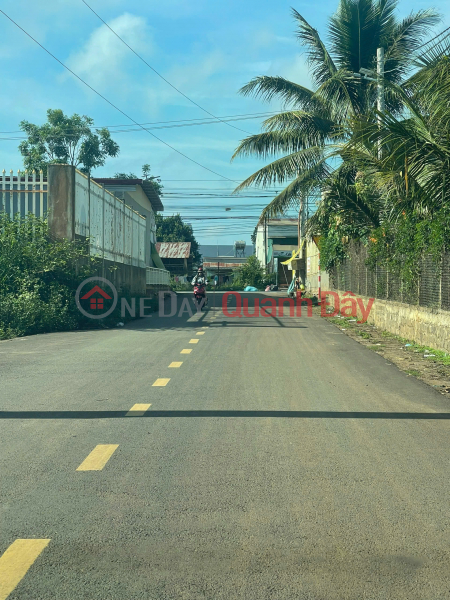 đ 12.5 Billion | 3300m2 of land for sale on a paved road near R'chai Phu Hoi football field, Duc Trong, Lam Dong. Price: 12.5 billion VND.