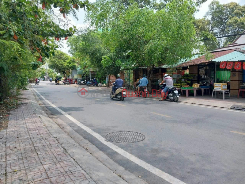 Land Frontage Tran Thi Boc - Thoi Tam Thon - Hoc Mon - 10x35 - 312m2 - 14m Road With Sidewalk - Approximately 11 Billion | Vietnam, Sales ₫ 11.5 Billion