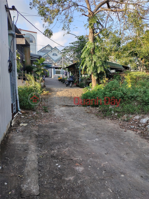 ĐẤT ĐẸP KIỆT NGUYỄN NHƯ ĐÃI – 150M² RỘNG RÃI – GIÁ CHỈ 2,5 TỶ! _0