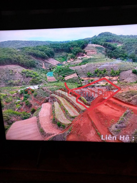 OWNER NEEDS TO SELL LAND LOT - GOOD PRICE In Da Loc Village, Xuan Tho Commune, Da Lat City, Lam Dong Sales Listings