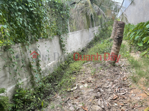 BEAUTIFUL LAND - GOOD PRICE - Land Lot For Sale Prime Location In Huu Dinh Commune, Chau Thanh District, Ben Tre _0