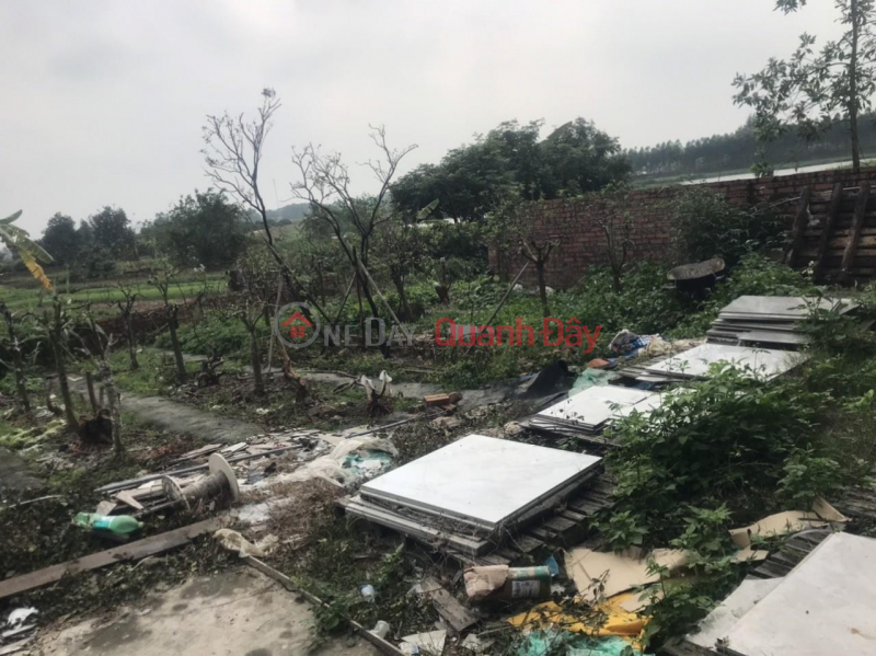 đ 1.35 Billion Beautiful Land - Good Price - Owner Needs to Sell Factory Land in Hoang Tan, Chi Linh City.