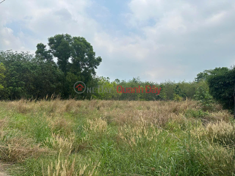 ĐẤT ĐẸP - ĐẦU TƯ SINH LỜI - Bán GẤP Lô Đất Tiềm Năng Tại Chánh Phú Hòa, Bến Cát, Bình Dương Việt Nam Bán | đ 8 tỷ