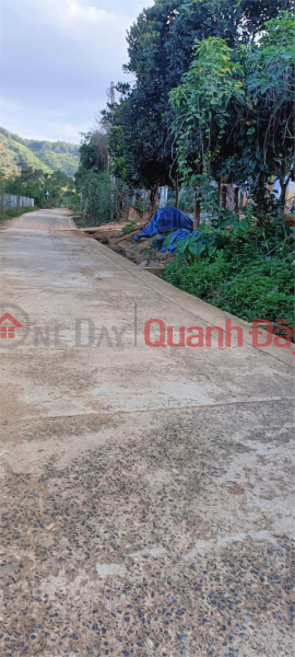 Property Search Vietnam | OneDay | Residential Sales Listings | The owner needs to sell a plot of land for resort and tree planting in Khanh Son, Khanh Hoa - EXTREMELY GOOD PRICE