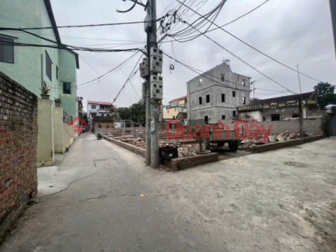 Bán đất tổ 3, Chi Đông, Mê Linh. Gần KCN Quang Minh và chợ đình Chi Đông _0