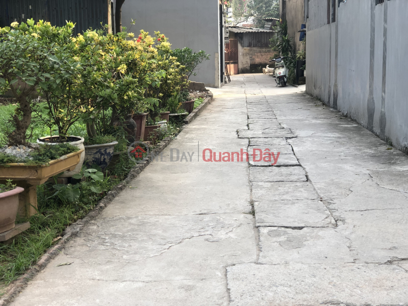 Property Search Vietnam | OneDay | Nhà ở, Niêm yết bán | Chủ nhà cần bán lô đất tại thôn quan châm xã Phú nghĩa chương Mỹ hà nội
Dt68’8 m , bán kính vài trăm mét đầy