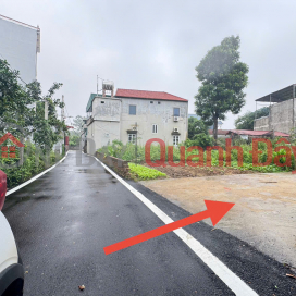 Bán đất Phú Hữu, Thanh Lâm, Mê Linh. Đường trải nhựa, oto đỗ. Gần chợ hoa quả Mê Linh _0