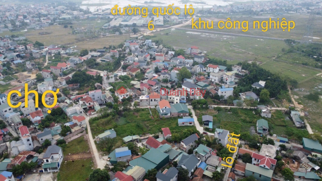 Property Search Vietnam | OneDay | Residential, Sales Listings, SUPER BEAUTIFUL LAND LOT OF 133M IN PHU NGHI-CHUONG MY-HANOI