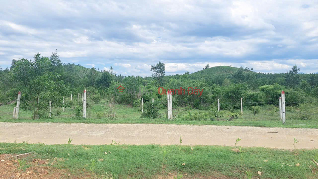 Property Search Vietnam | OneDay | Residential, Sales Listings, ️HOT HOT!! Full residential land in Ba Dui, Khanh Binh, Khanh Vinh.